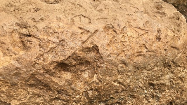 כתובת בלטינית על האבן (צילום: גלעד כרמלי)